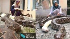 Read more about the article Watch Video:14-Year-Old Girl Who Has 6 Pythons As Pet