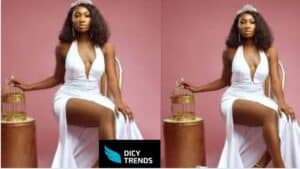 Read more about the article Wendy Shay Reveals There Is An Album Soon.