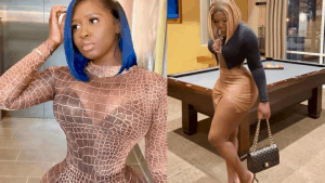 Read more about the article I Don’t Want A Man No Woman Wants – Princess Shyngle