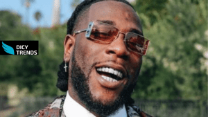 Read more about the article Nigerians Blast Burna Boy After He Said He Does Not Make Money From Nigeria