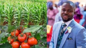 Read more about the article “My grandma taught me to farm at age 10 & at age 27 am a millionaire” – Man tells how he did it