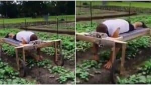 Read more about the article This is lazy Framing- Reactions as Man lies on Bed while planting  Crops on his farm