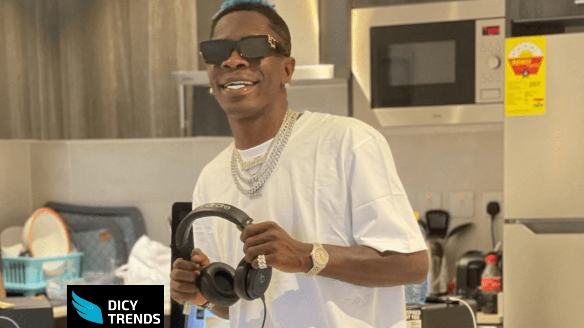 Read more about the article Shatta Wale Displays ‘skinny Legs’ In Recent Photo