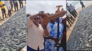 Read more about the article Bumper Harvest As Hawa Koomson Opens The Sea For Fishing After A Month Break