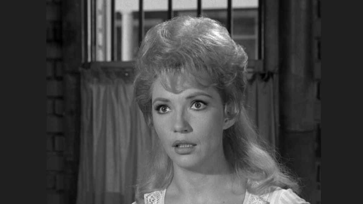 Read more about the article Jenny Lee Arness: What caused the death of James Arness’ daughter?