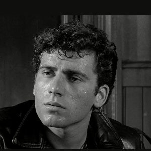 Read more about the article Neil Nephew: How did Ellen Burstyn’s ex-husband die?