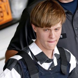 Read more about the article Amelia Cowles: Truth About The Mother Of Dylann Roof